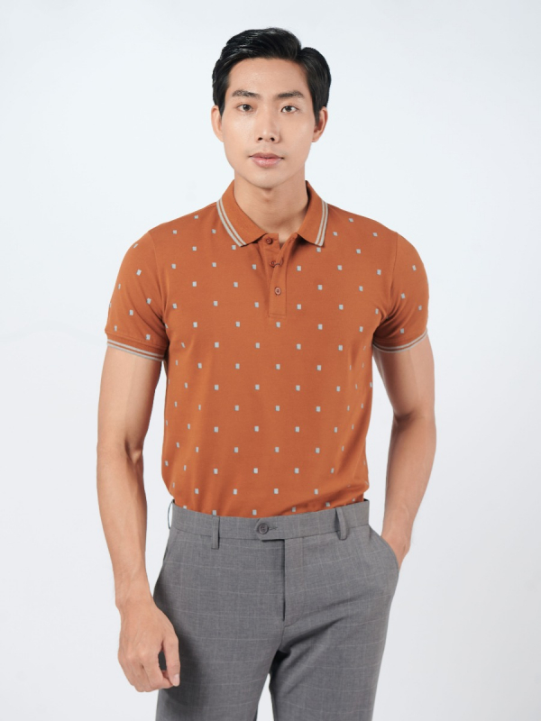 Áo Polo - APV220341