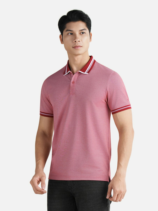 Áo Polo - APV257026