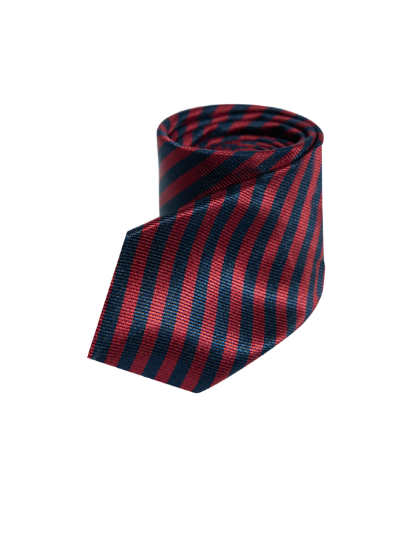 Cà vạt - CV221522