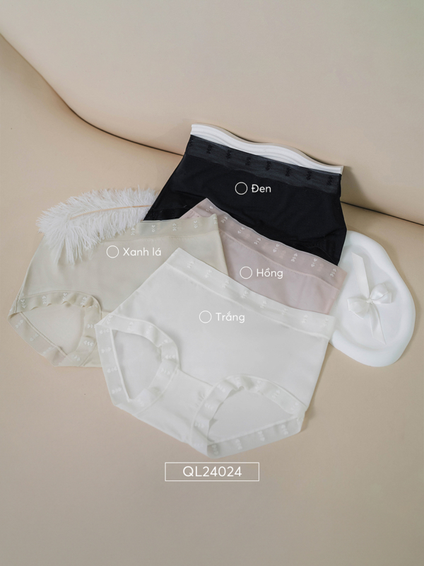 Quần lót - QL24024