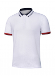 APV20296-Áo Polo nam