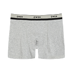 Quần lót - QLB242504