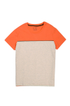 TS80268_Ao