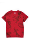 TS80278_Ao