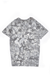 TS80304_Ao