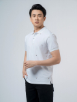 Áo Polo - APV220306