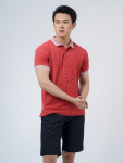 Áo polo - APV220311