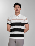 Áo Polo - APV233205
