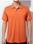Áo polo - PAT22380
