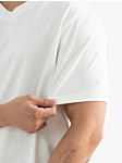 TSN255122-Áo T-shirt