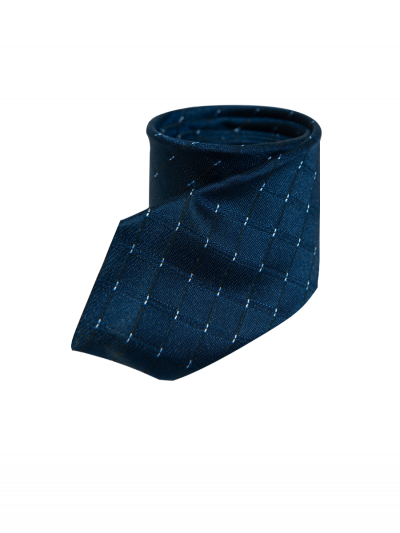 Cà vạt - CV221520