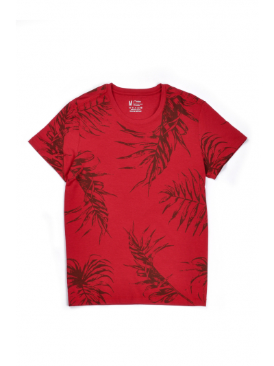 TS80278_Ao