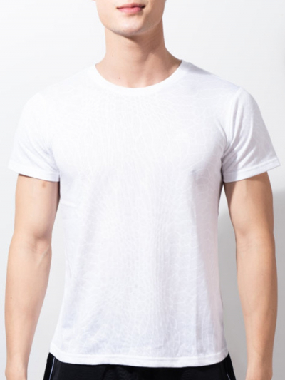 Áo Tshirt - TSN22501