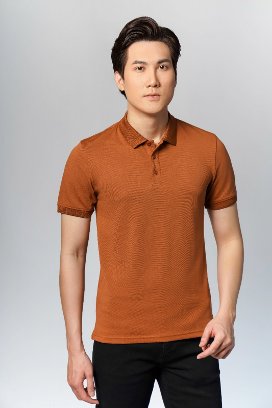 Áo Polo - APV23737