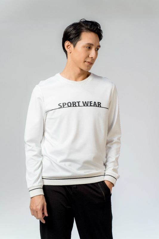 Áo Hoodie - HD23281