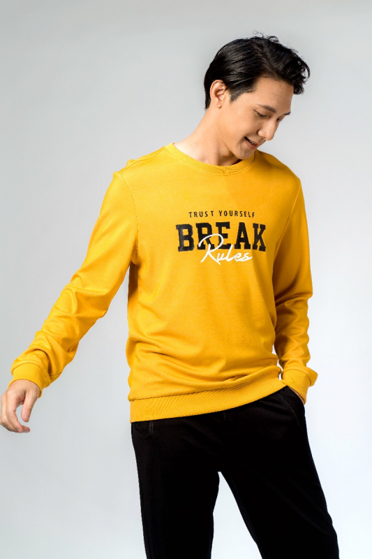 Áo Hoodie - HD23273