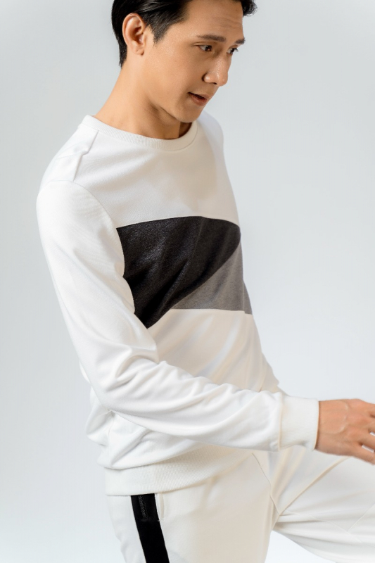 Áo Hoodie - HD23280