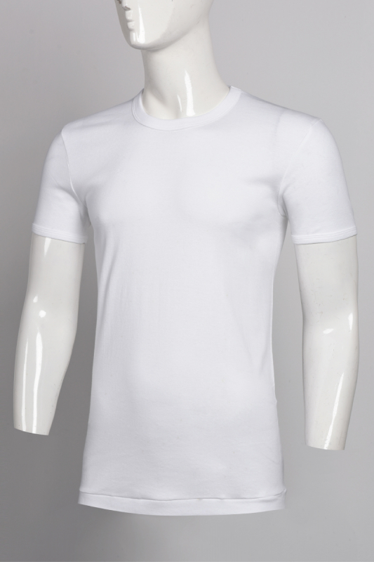 Áo T-Shirt - TSTL6488.1